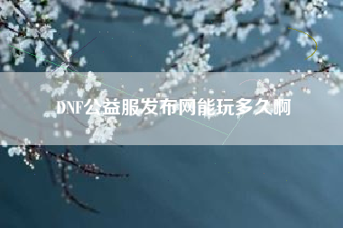 DNF公益服发布网能玩多久啊