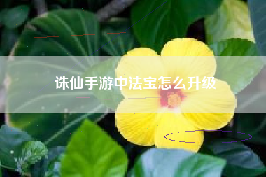 诛仙手游中法宝怎么升级