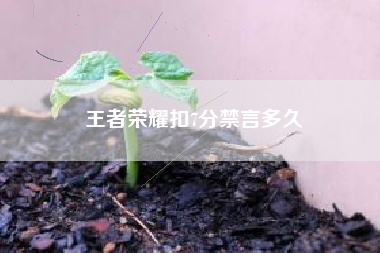 王者荣耀扣7分禁言多久