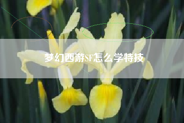 梦幻西游SF怎么学特技