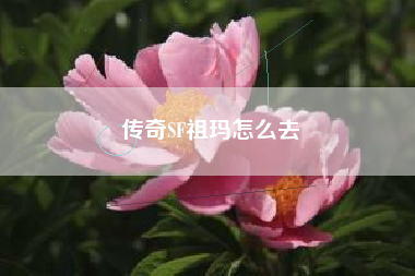 传奇SF祖玛怎么去