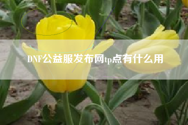 DNF公益服发布网tp点有什么用