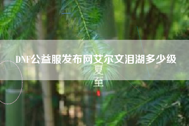 DNF公益服发布网艾尔文泪湖多少级