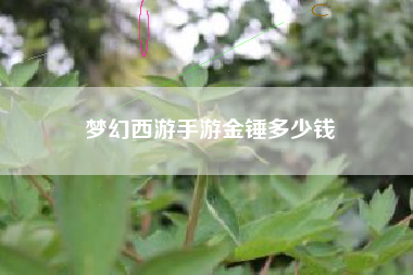 梦幻西游手游金锤多少钱