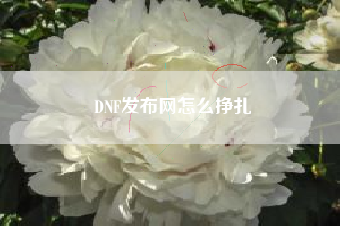 DNF发布网怎么挣扎