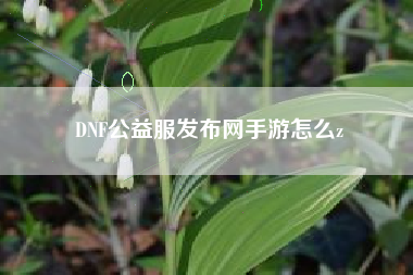 DNF公益服发布网手游怎么z