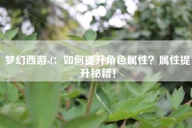 梦幻西游sf：如何提升角色属性？属性提升秘籍！