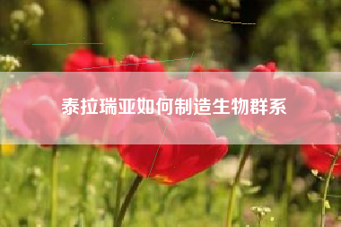 泰拉瑞亚如何制造生物群系