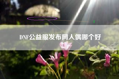 DNF公益服发布网人偶哪个好