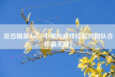 反恐精英Online中哪些游戏技能对团队合作最关键？