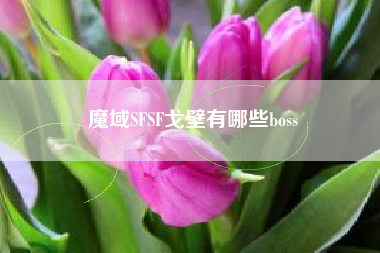 魔域SFSF戈壁有哪些boss