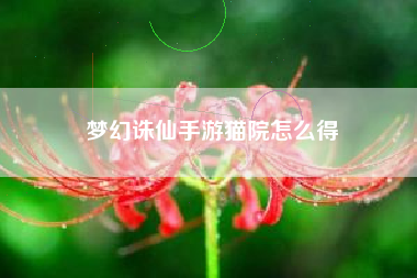 梦幻诛仙手游猫院怎么得