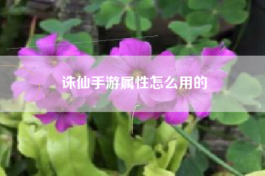 诛仙手游属性怎么用的