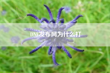 DNF发布网为什么打