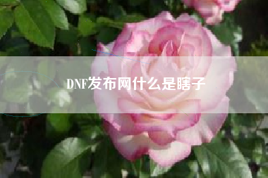 DNF发布网什么是瞎子