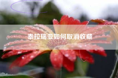 泰拉瑞亚如何取消收藏