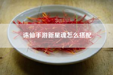 诛仙手游新星魂怎么搭配