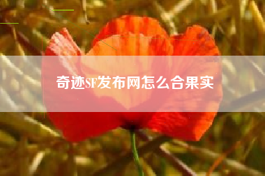 奇迹SF发布网怎么合果实