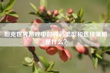 坦克世界游戏中的弹药类型和选择策略是什么？