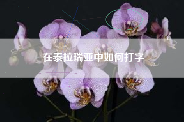 在泰拉瑞亚中如何打字