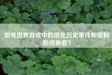 坦克世界游戏中的坦克历史事件和资料如何查看？