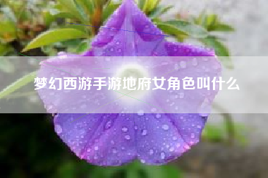 梦幻西游手游地府女角色叫什么