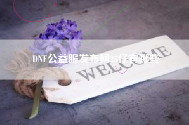 DNF公益服发布网25仔有哪些