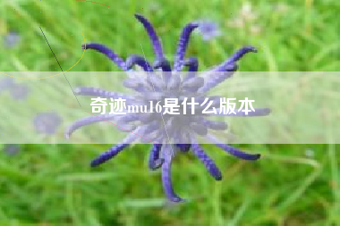 奇迹mu16是什么版本