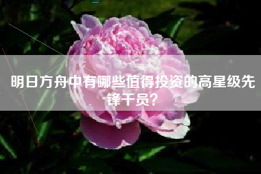 明日方舟中有哪些值得投资的高星级先锋干员？