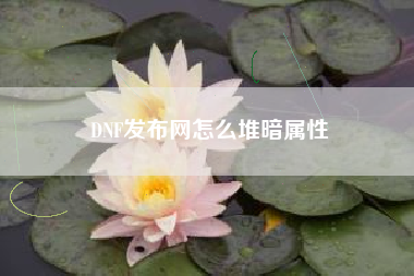 DNF发布网怎么堆暗属性