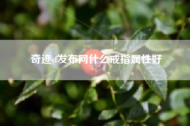 奇迹sf发布网什么戒指属性好