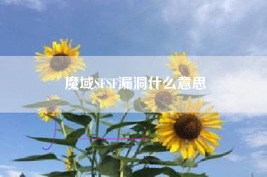 魔域SFSF漏洞什么意思