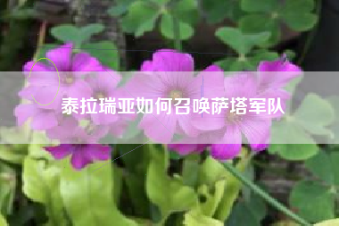 泰拉瑞亚如何召唤萨塔军队