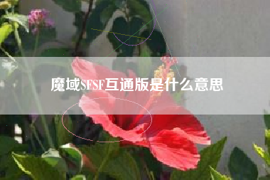 魔域SFSF互通版是什么意思