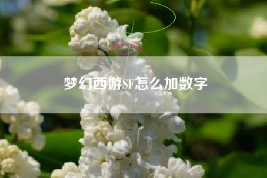 梦幻西游SF怎么加数字