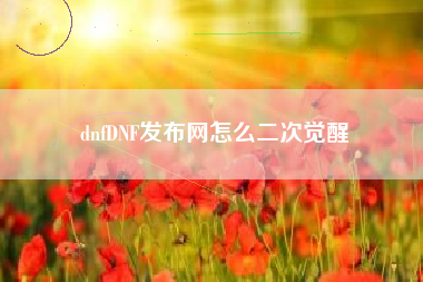 dnfDNF发布网怎么二次觉醒