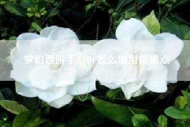 梦幻西游手游DF怎么加潜能果点