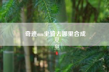 奇迹mu坐骑去哪里合成