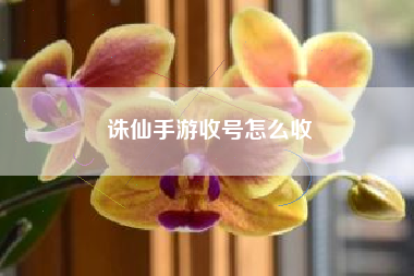 诛仙手游收号怎么收