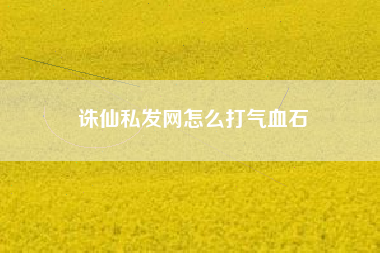 诛仙私发网怎么打气血石