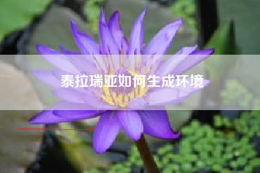 泰拉瑞亚如何生成环境