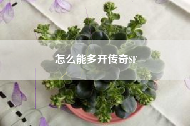 怎么能多开传奇SF