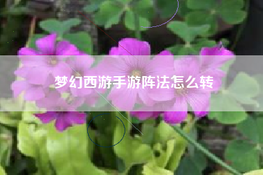 梦幻西游手游阵法怎么转