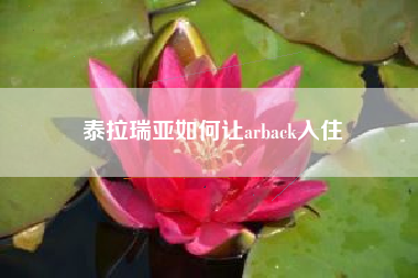 泰拉瑞亚如何让arback入住