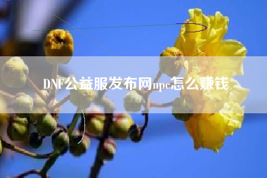 DNF公益服发布网npc怎么赚钱