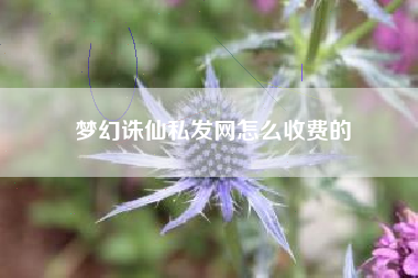 梦幻诛仙私发网怎么收费的