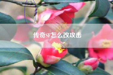 传奇SF怎么改攻击