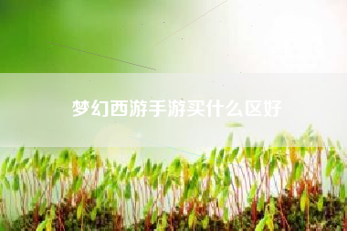 梦幻西游手游买什么区好