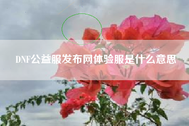 DNF公益服发布网体验服是什么意思