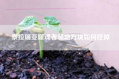 泰拉瑞亚噬魂者领地方块如何挖掉